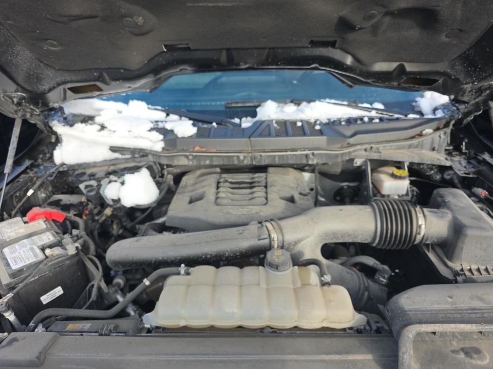 2023 Ford F-150 XLT AWD