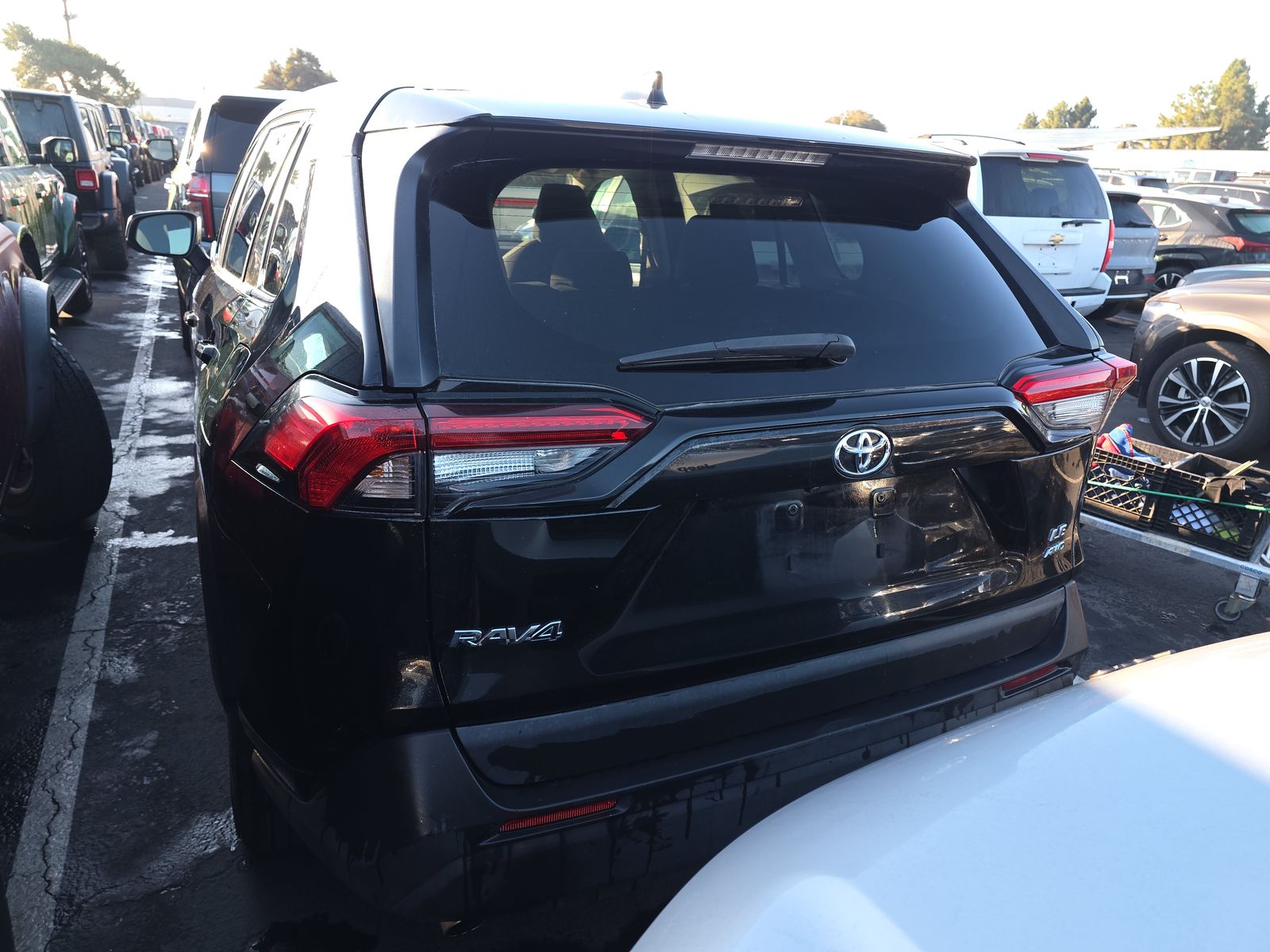 2023 Toyota RAV4 LE AWD