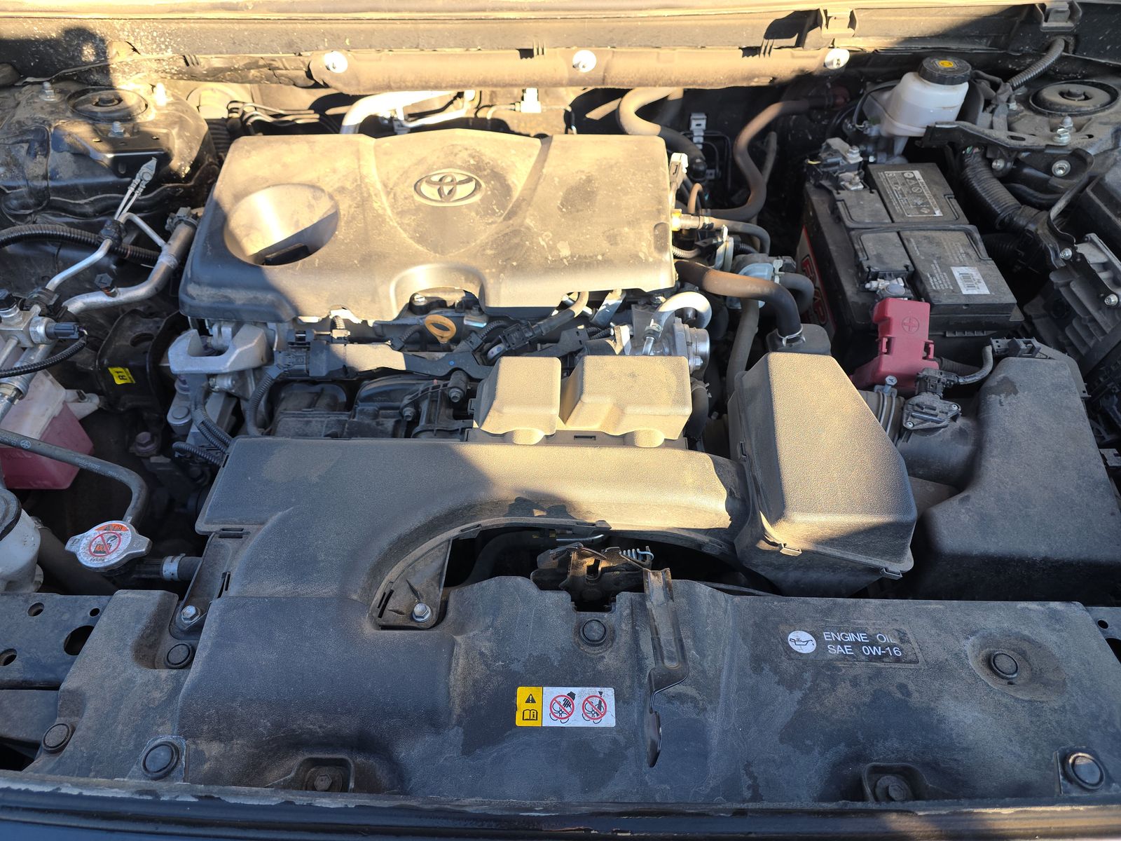 2023 Toyota RAV4 LE AWD