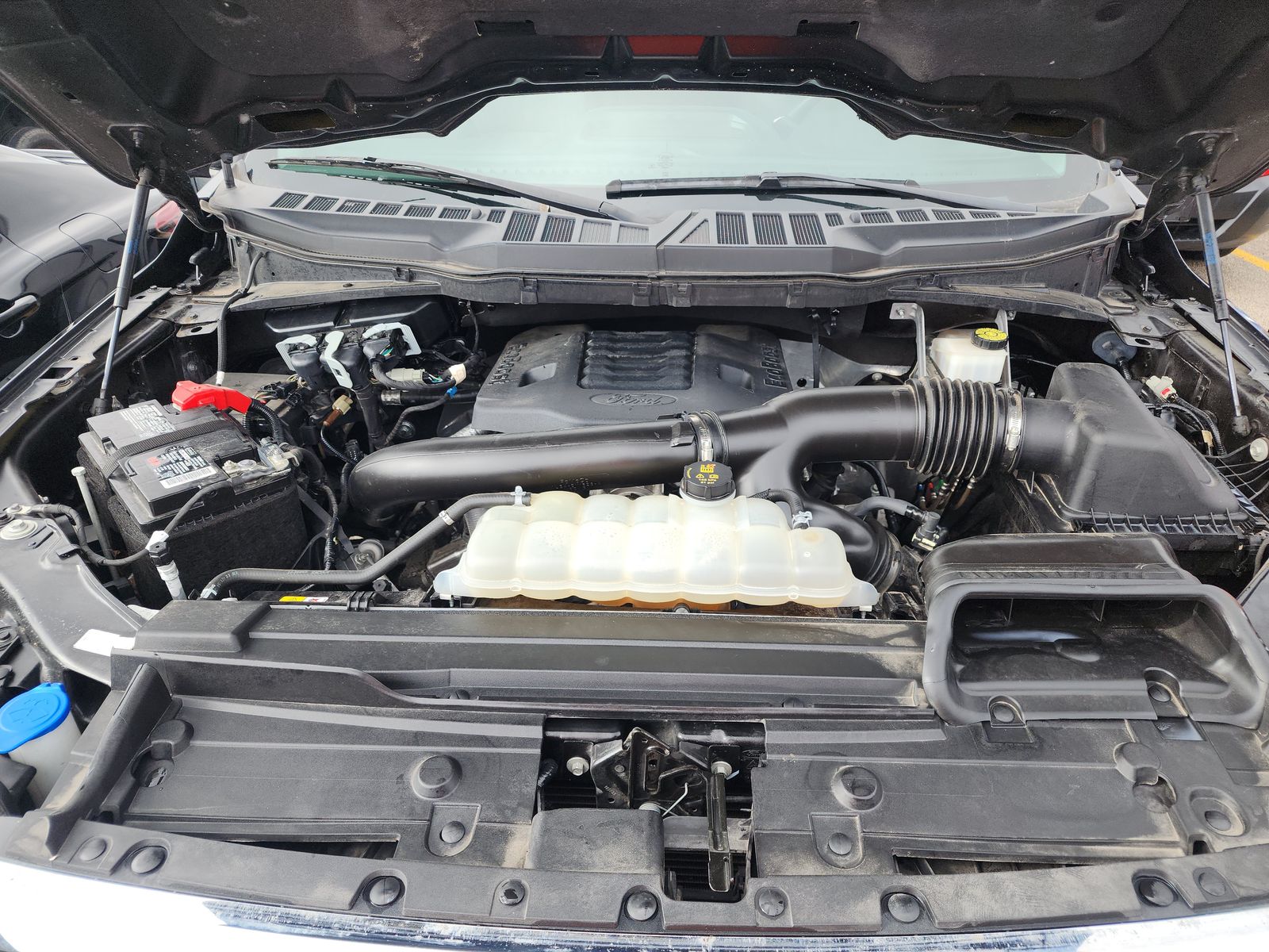 2023 Ford F-150 XLT RWD