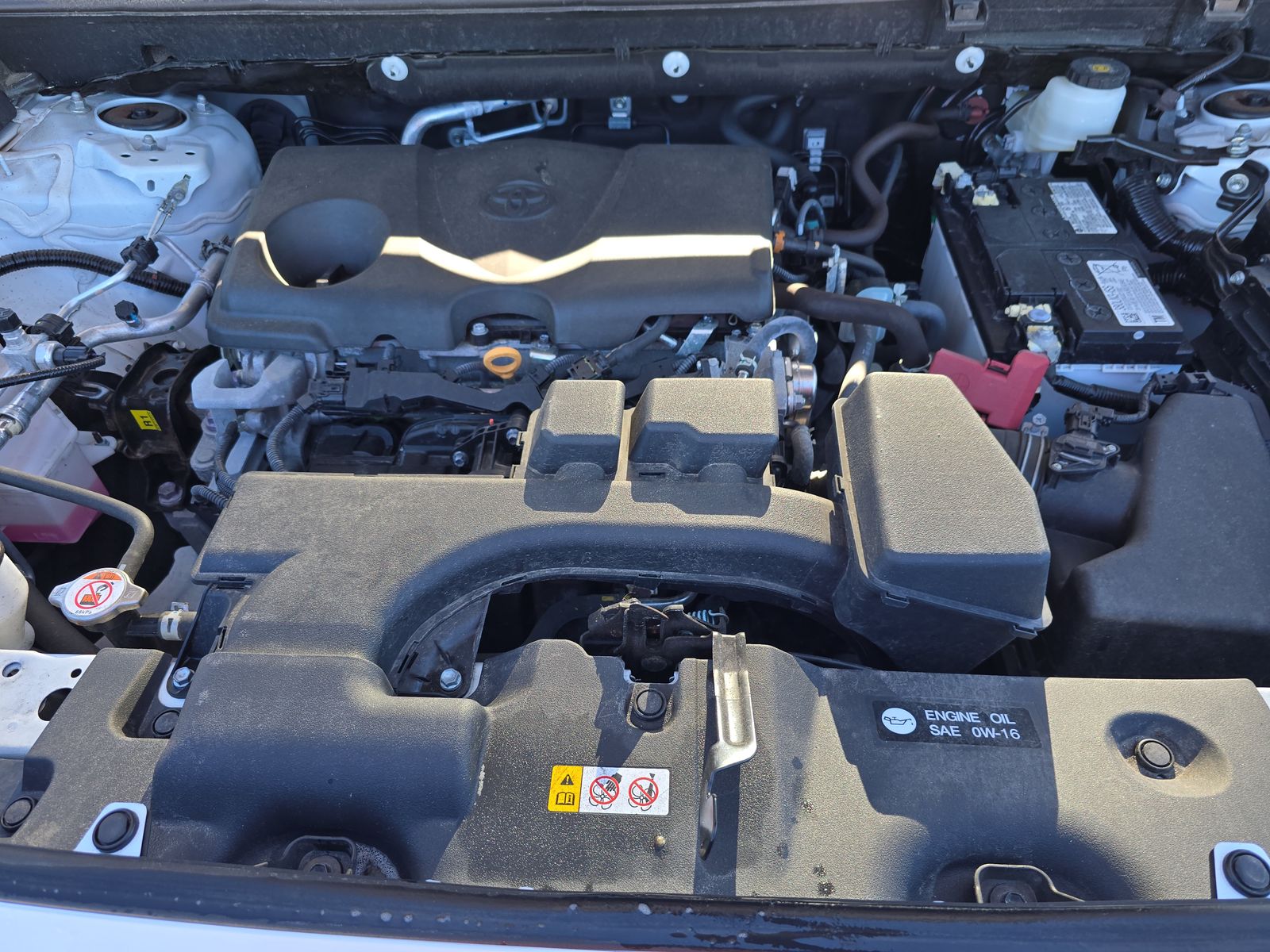 2024 Toyota RAV4 LE AWD