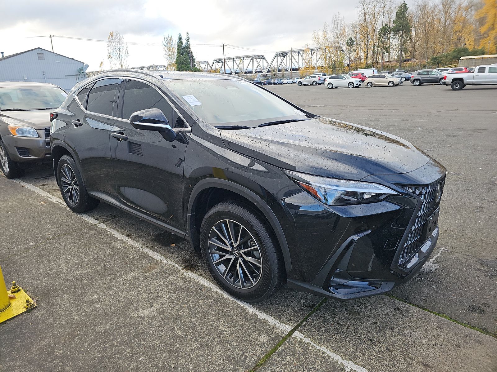 2024 Lexus NX NX 350 Premium AWD