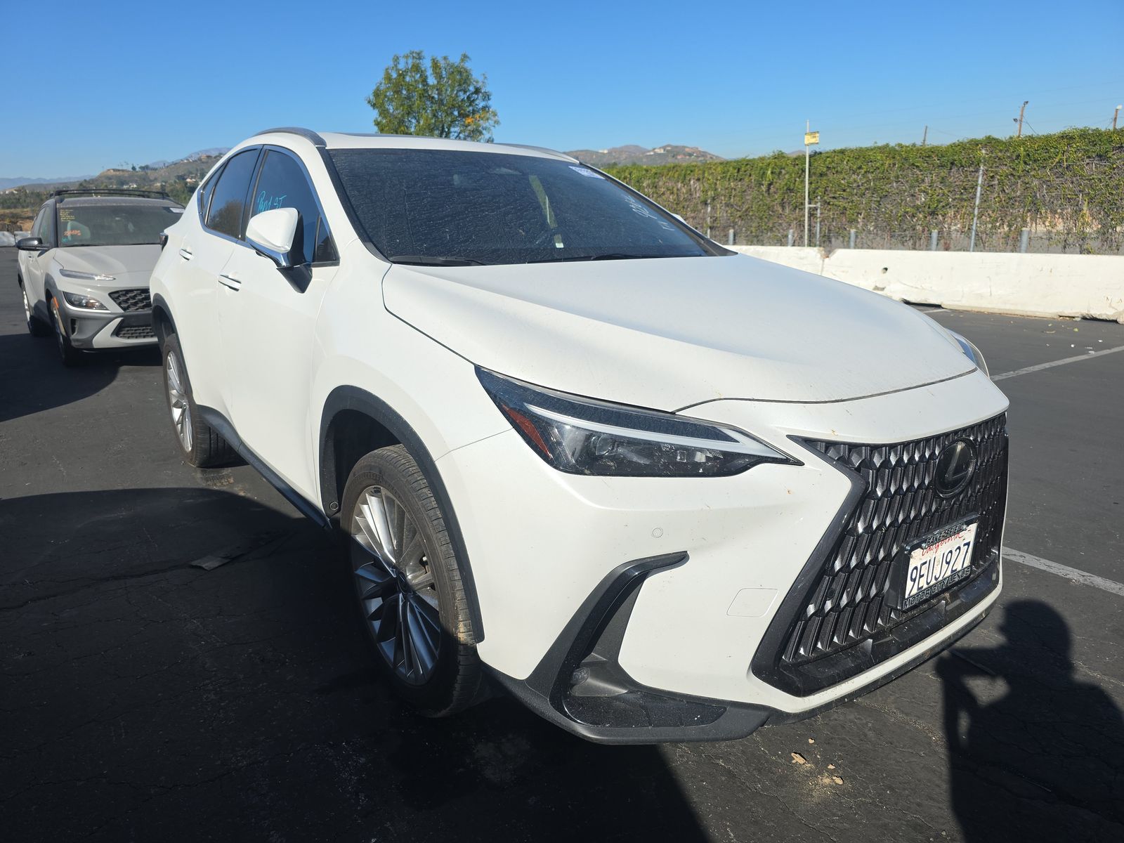 2023 Lexus NX NX 350 Luxury AWD