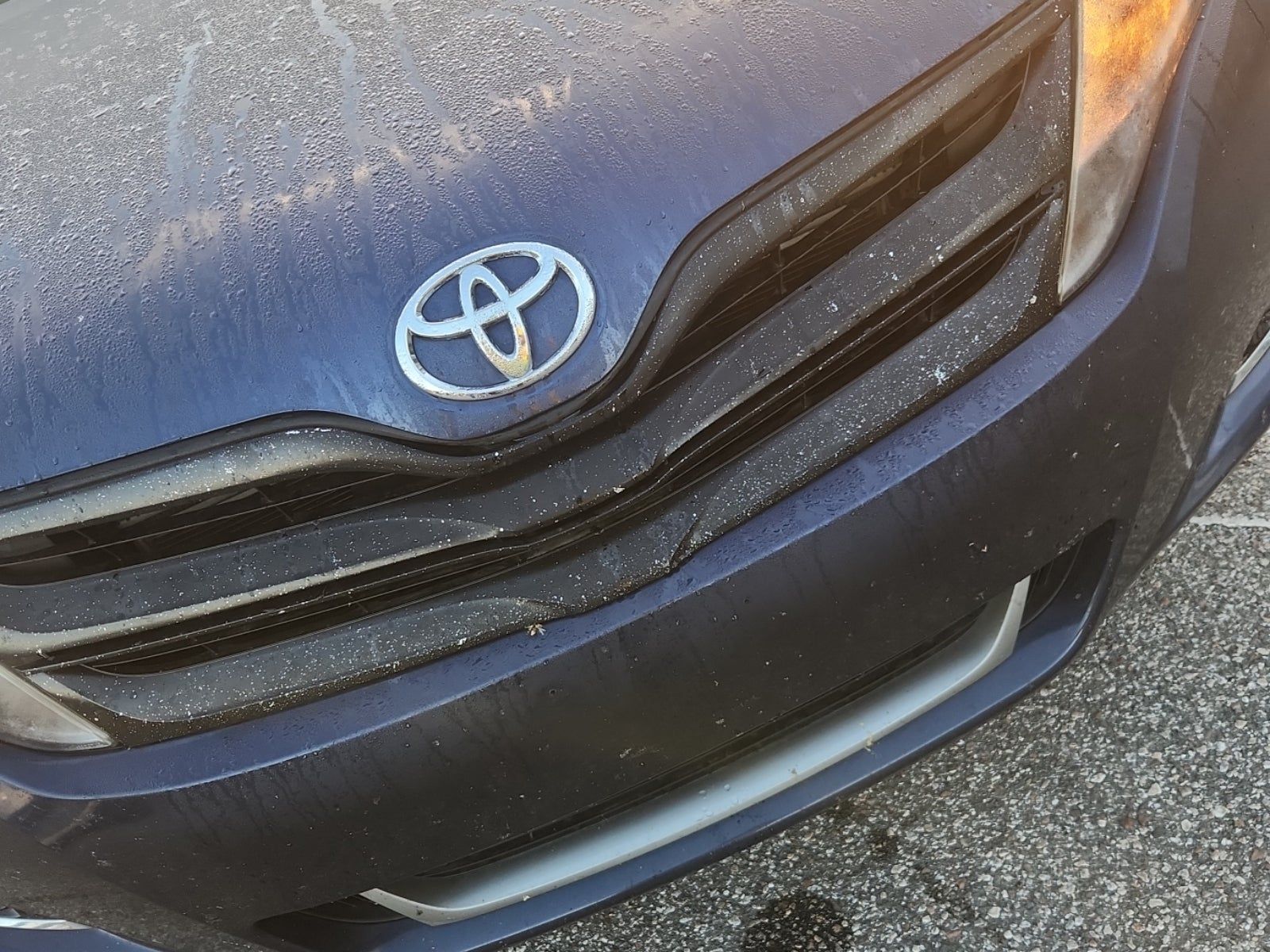 2015 Toyota Venza XLE AWD