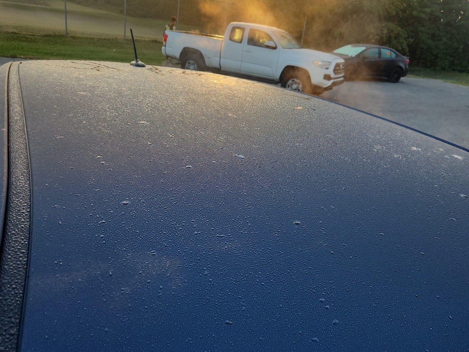 2015 Toyota Venza XLE AWD