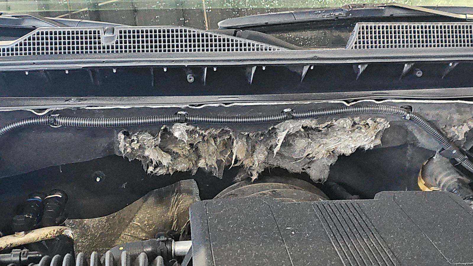 2024 Chevrolet Silverado 2500HD LT AWD