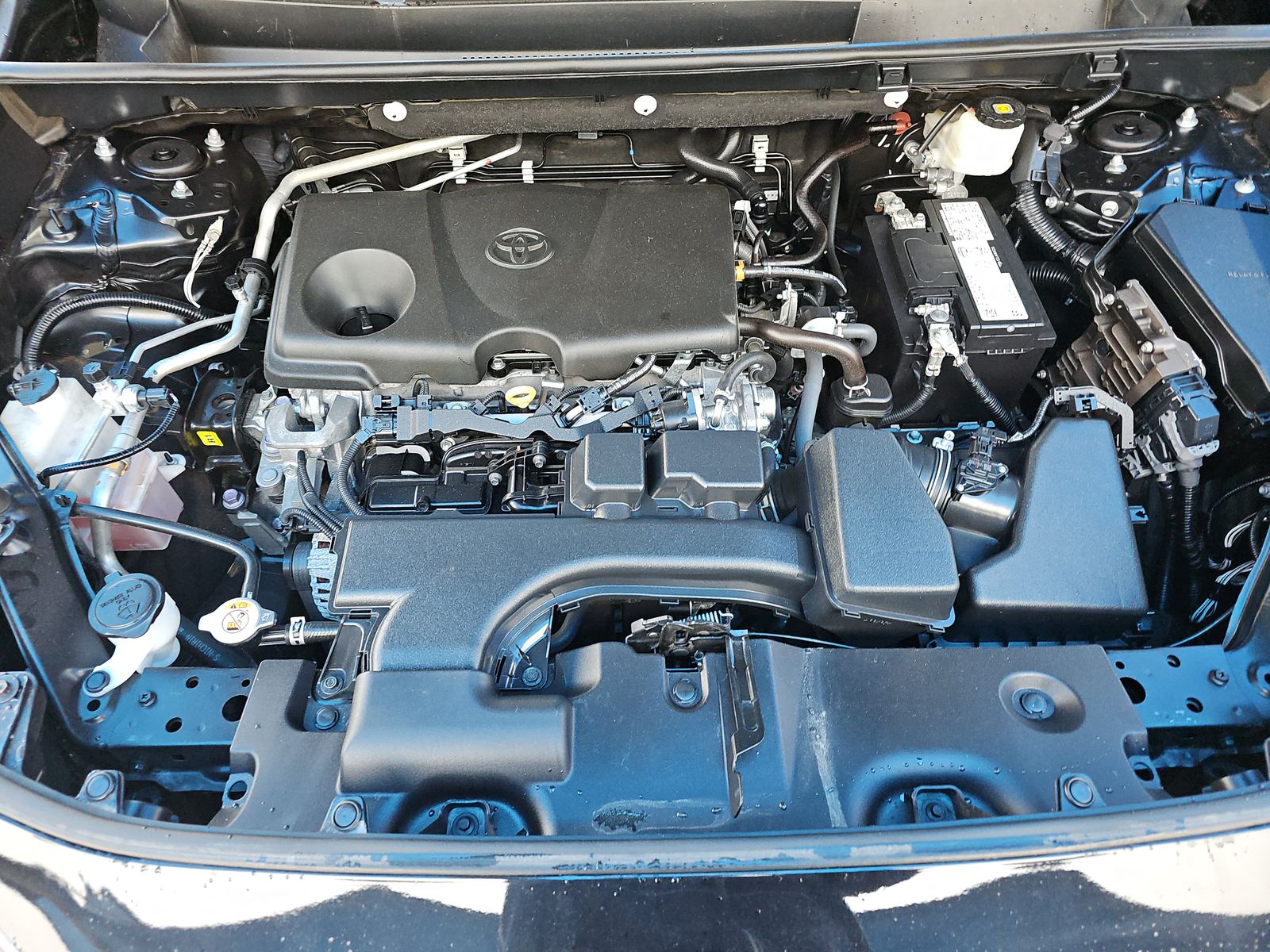 2023 Toyota RAV4 LE FWD