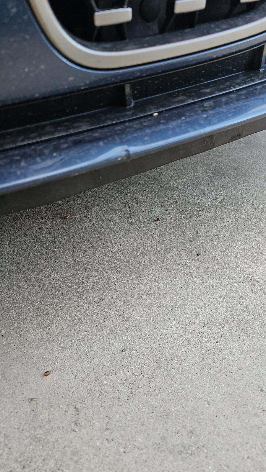 2023 BMW 4 Series M440i xDrive AWD