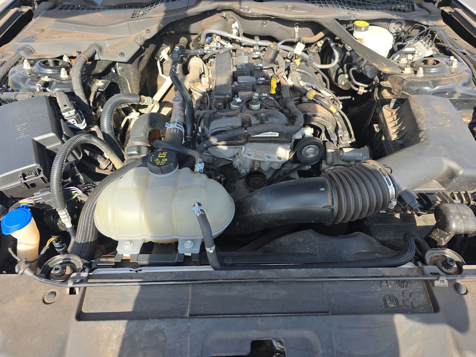 2023 Ford Mustang EcoBoost Premium RWD