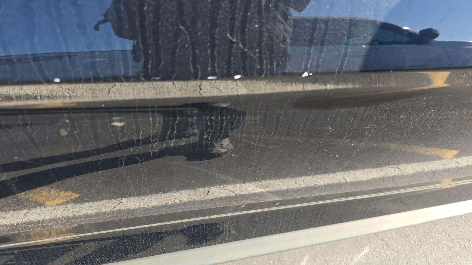 2023 Ford Mustang EcoBoost Premium RWD