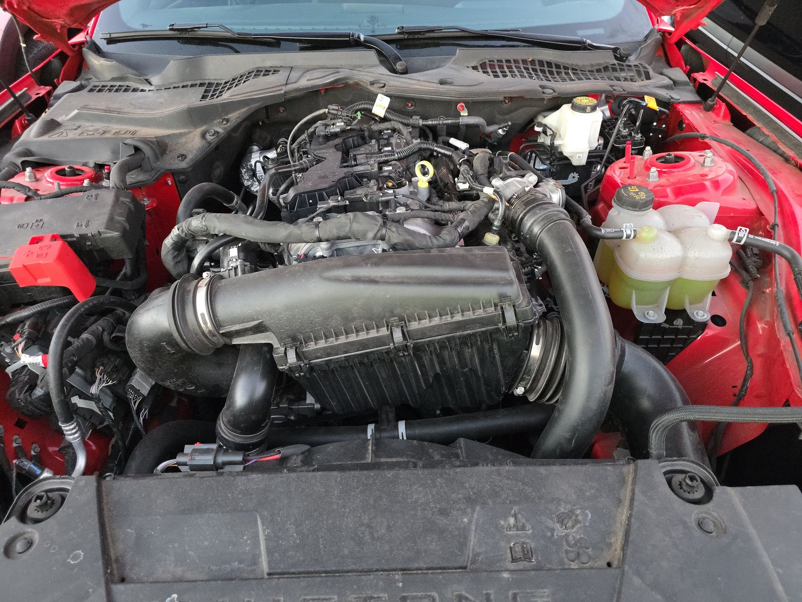 2024 Ford Mustang EcoBoost Premium RWD