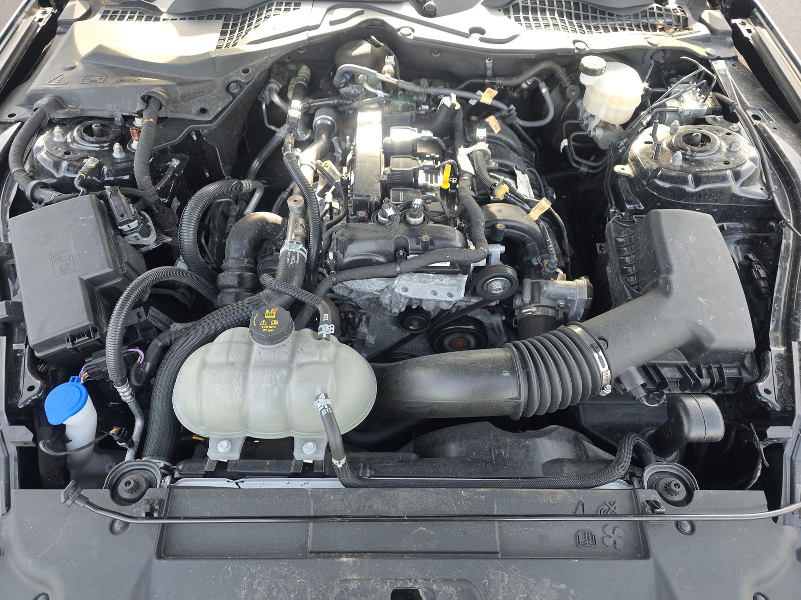 2022 Ford Mustang EcoBoost Premium RWD