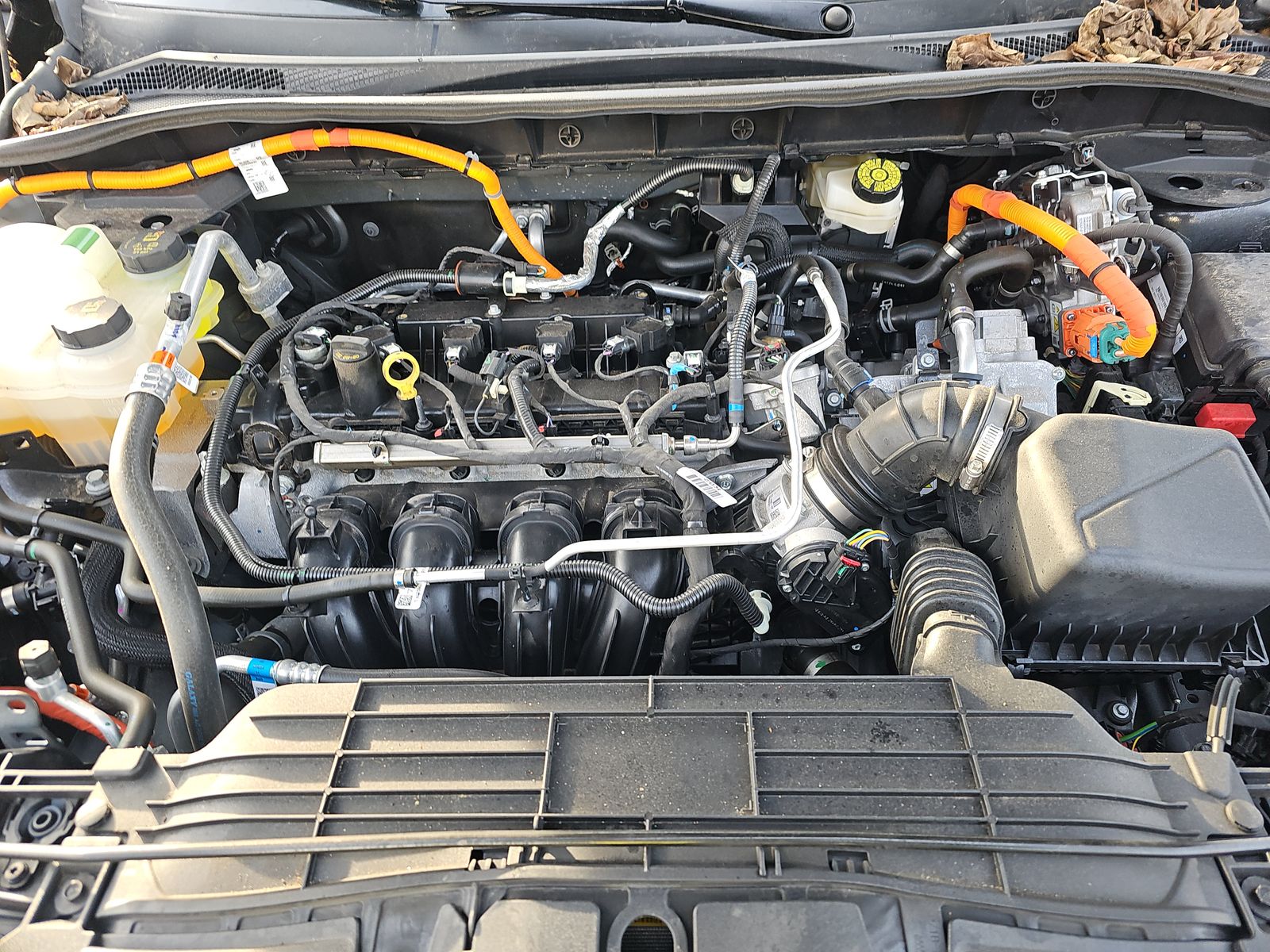 2025 Ford Escape Hybrid ST-Line FWD