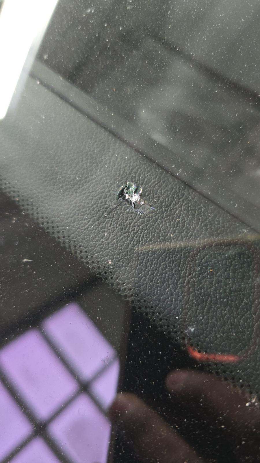 2023 BMW X5 xDrive45e AWD