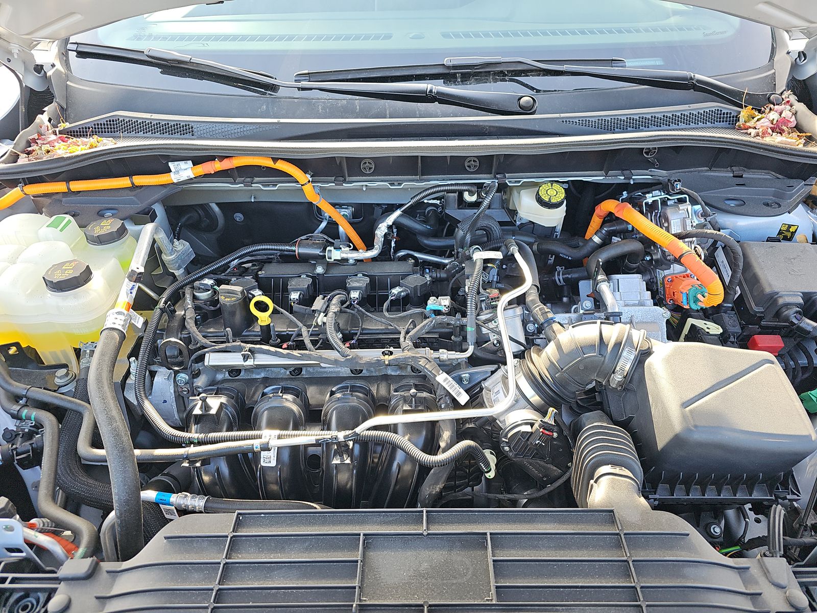 2025 Ford Escape Hybrid ST-Line FWD