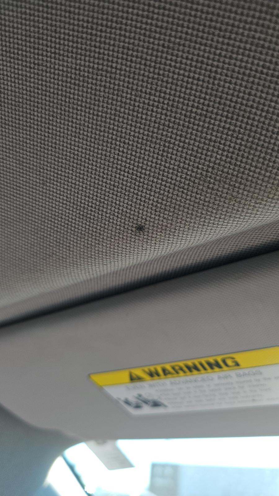 2022 Hyundai Elantra Hybrid Blue FWD