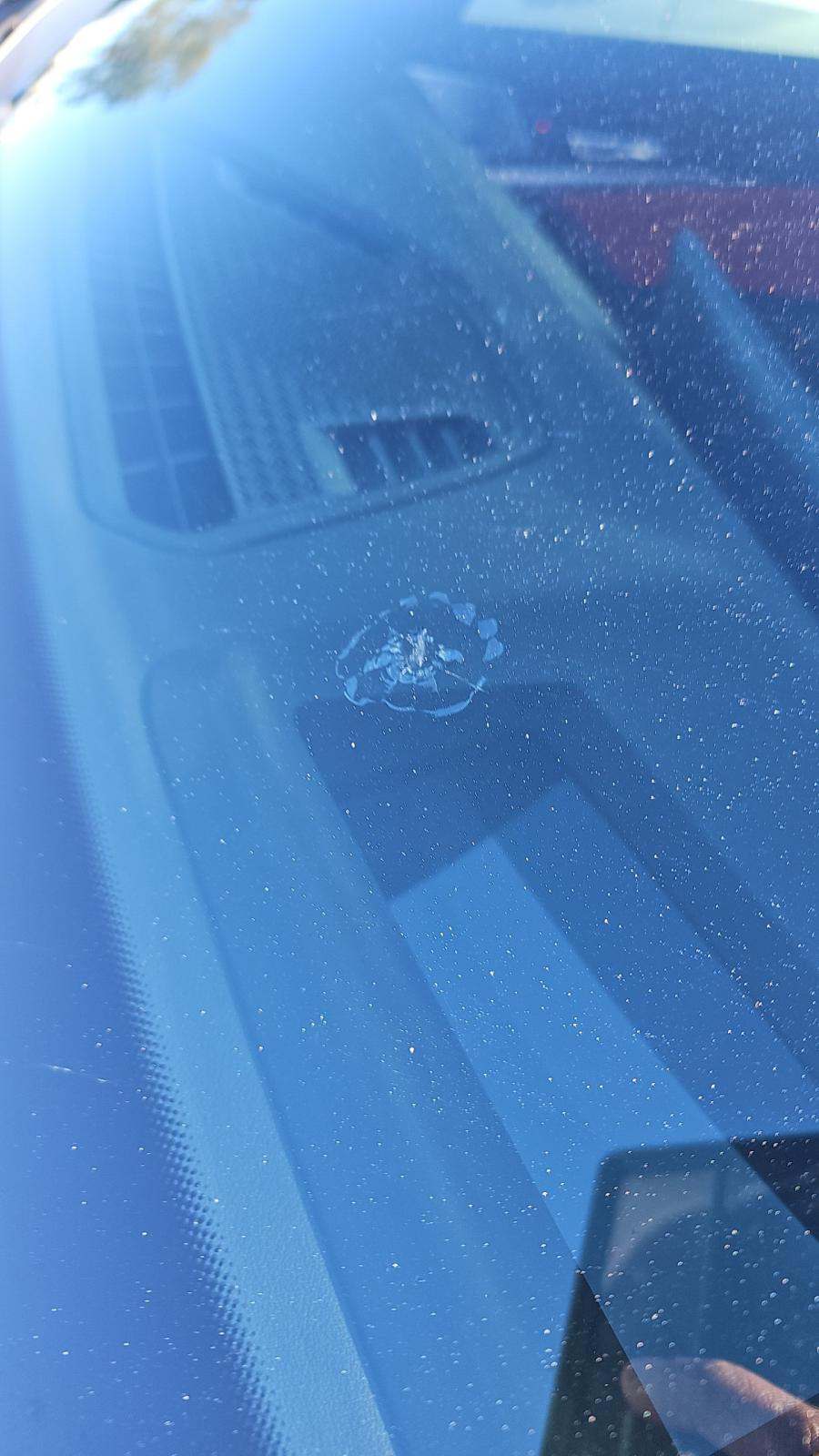 2024 BMW X1 xDrive28i AWD