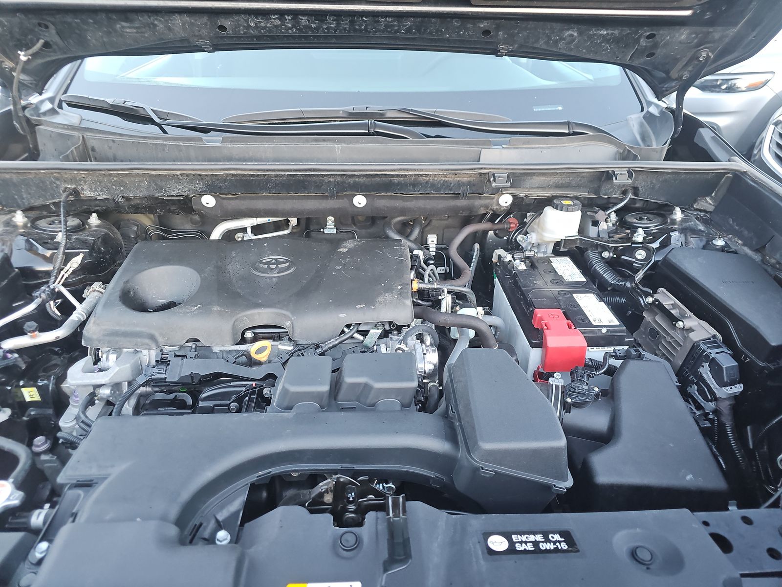 2024 Toyota RAV4 XLE AWD