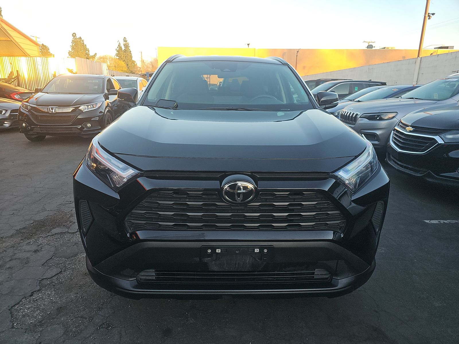 2024 Toyota RAV4 XLE AWD