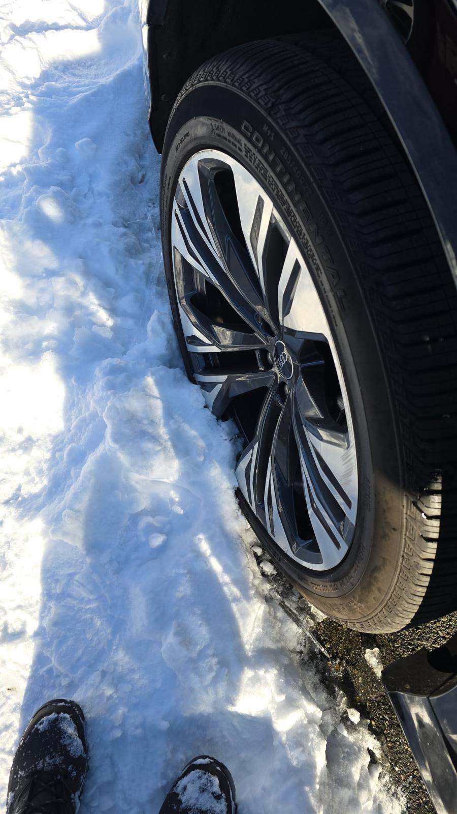 2025 Audi Q8 Premium Plus AWD