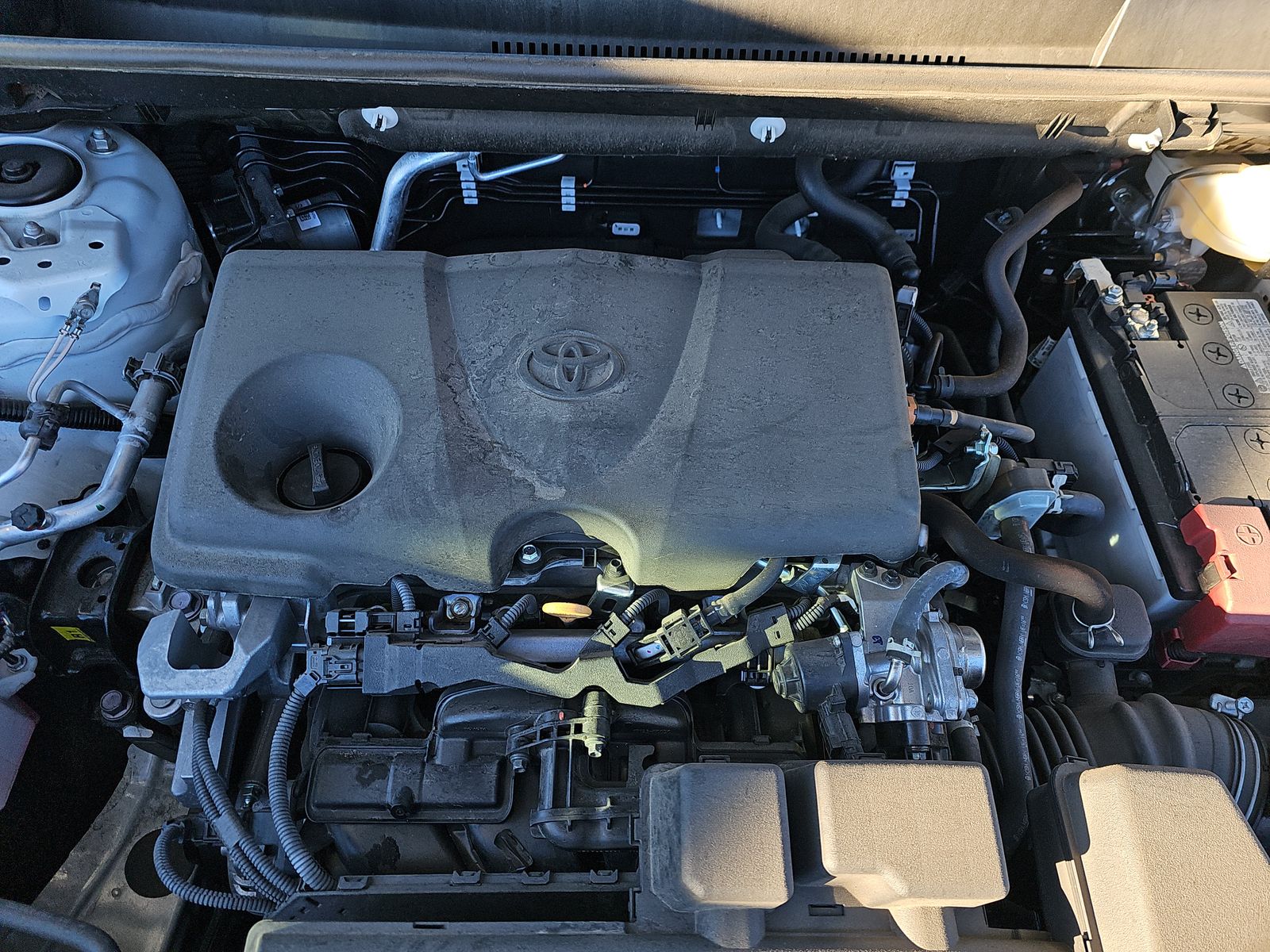 2024 Toyota RAV4 LE AWD