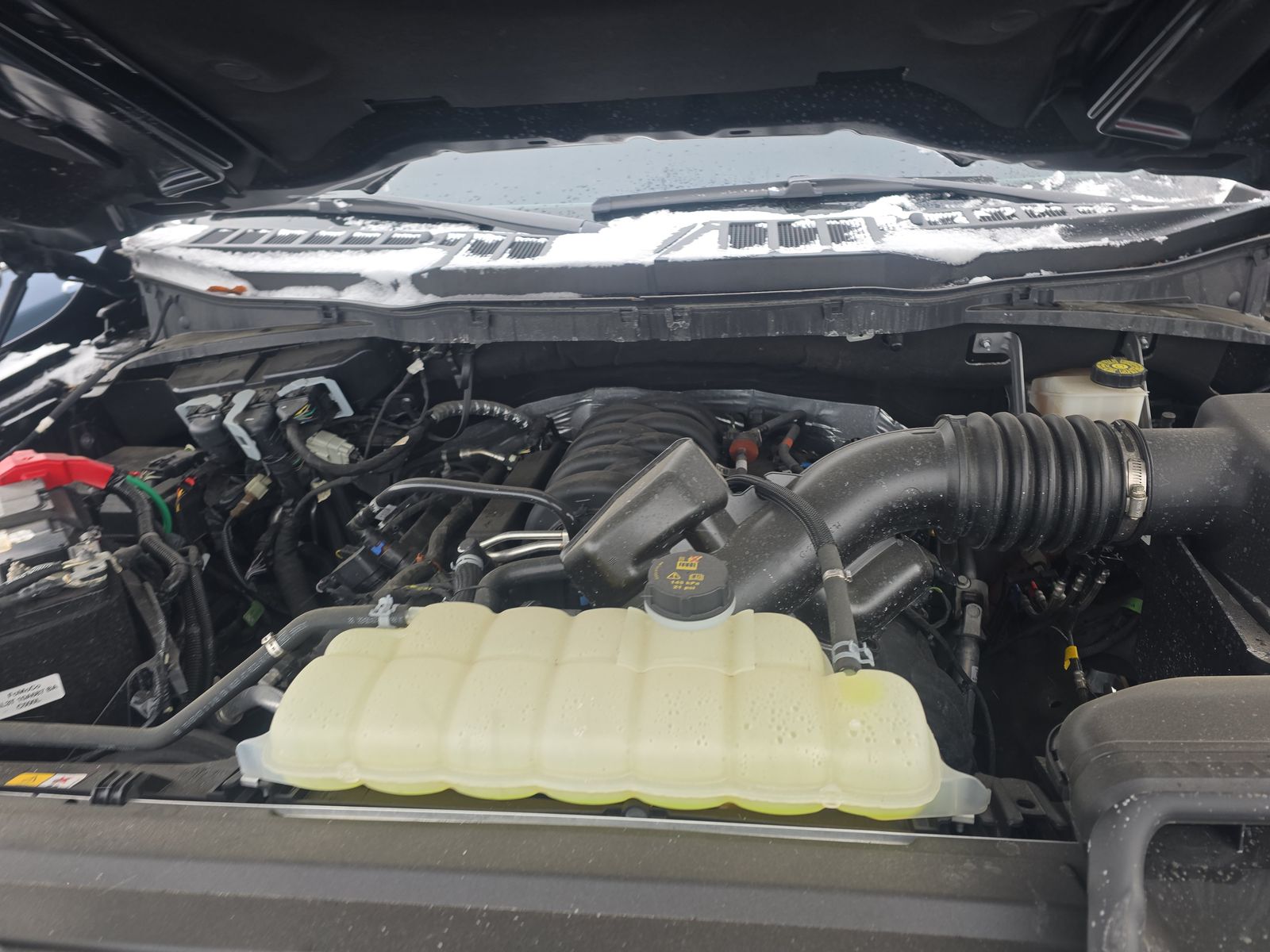 2024 Ford F-150 XLT AWD