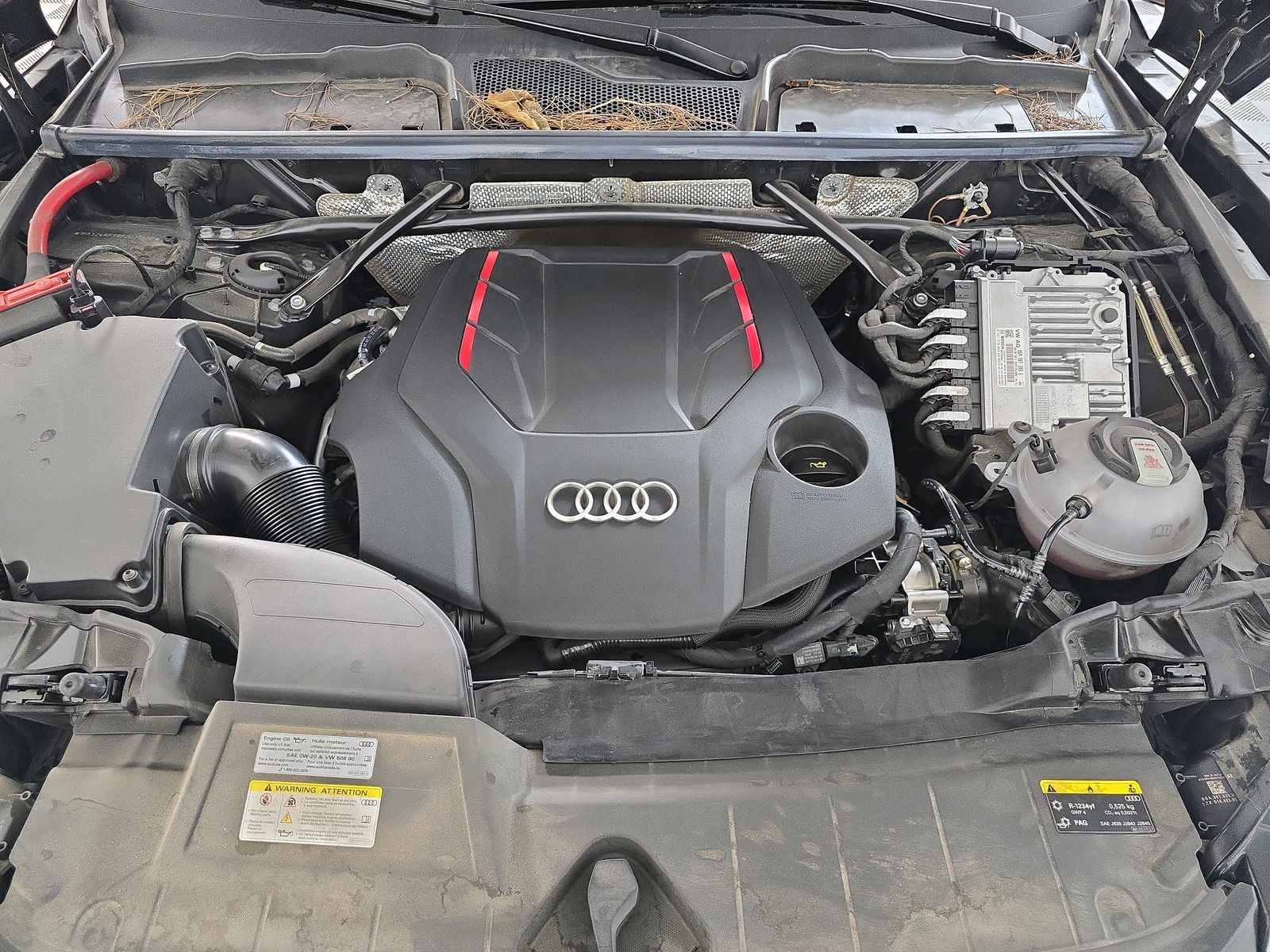 2023 Audi SQ5 Premium Plus AWD