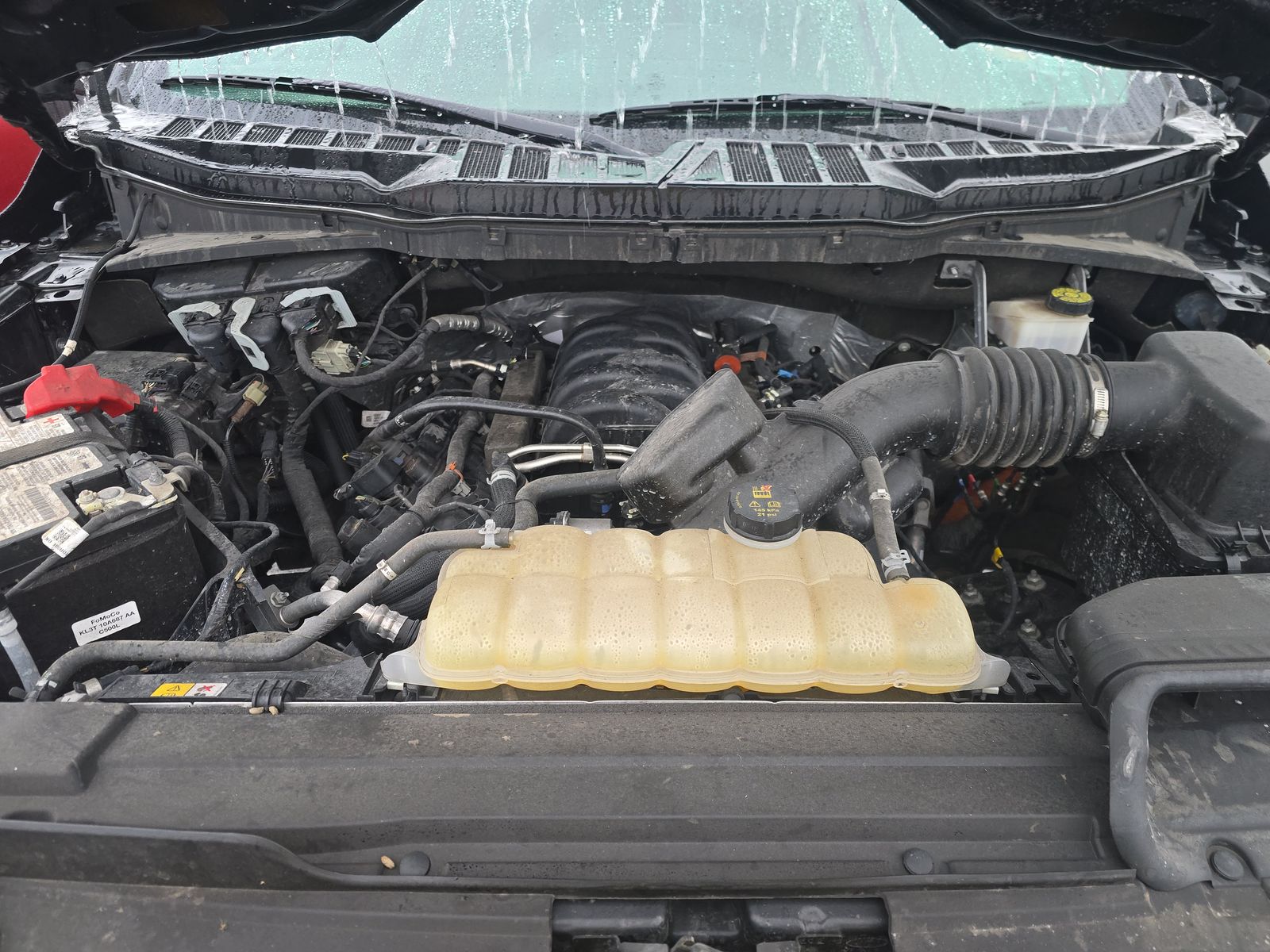 2023 Ford F-150 XLT RWD