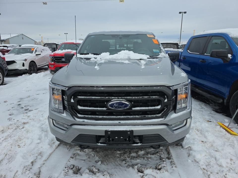2023 Ford F-150 XLT AWD