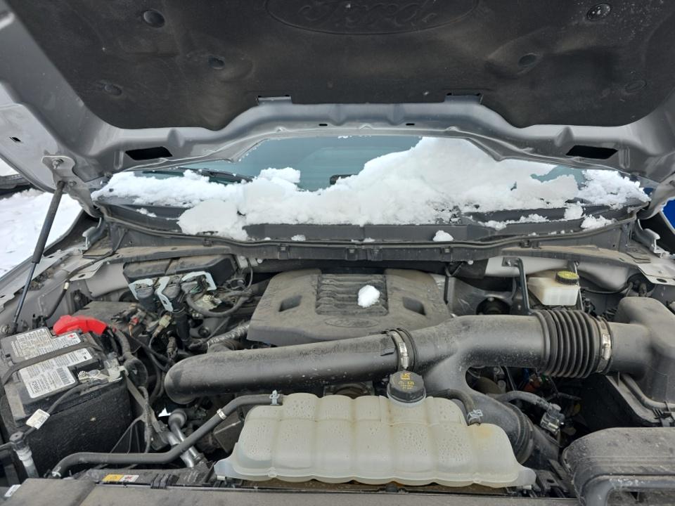 2023 Ford F-150 XLT AWD