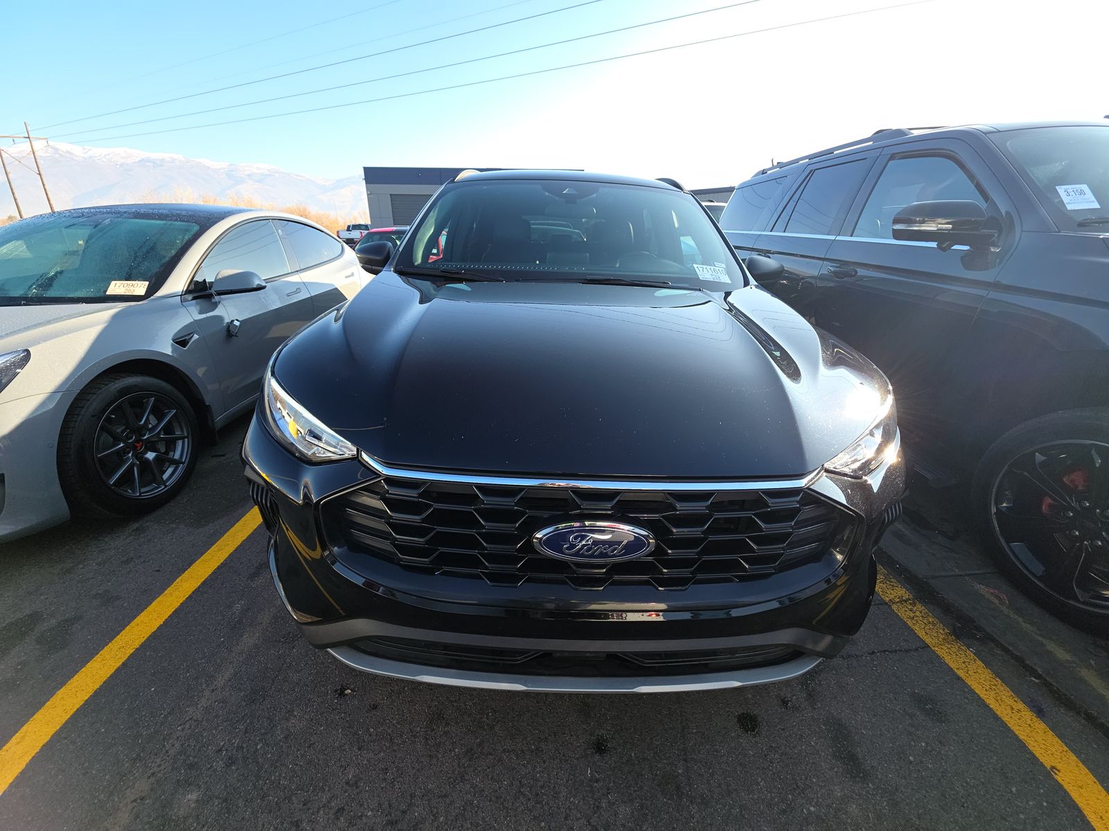 2025 Ford Escape ST-Line FWD