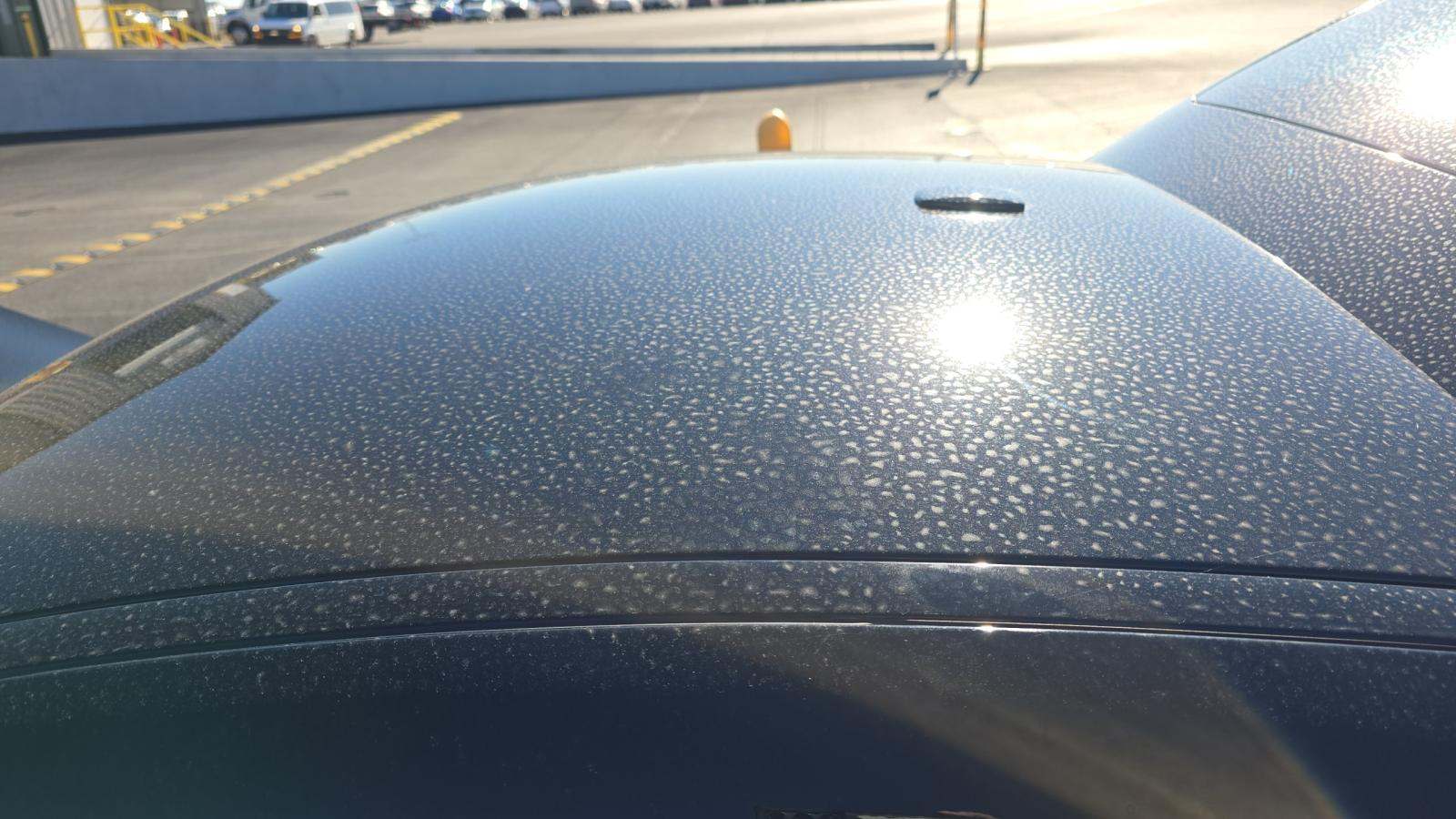 2024 Mercedes-Benz Mercedes-AMG GT AMG GT 55 AWD