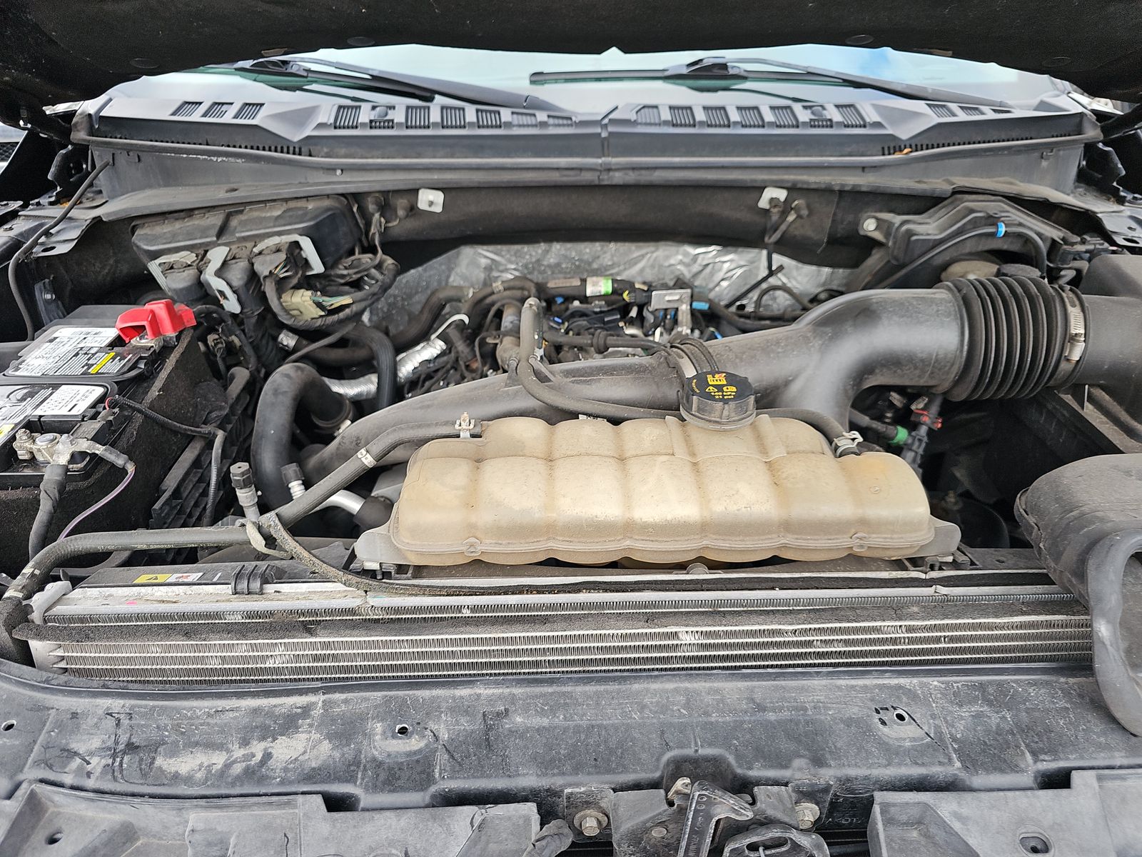 2019 Ford F-150 XLT AWD