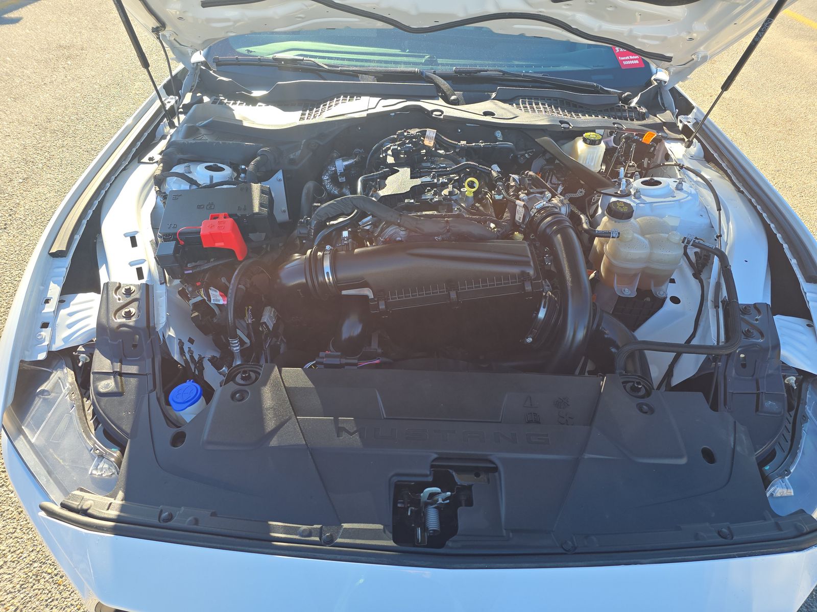 2024 Ford Mustang EcoBoost Premium RWD