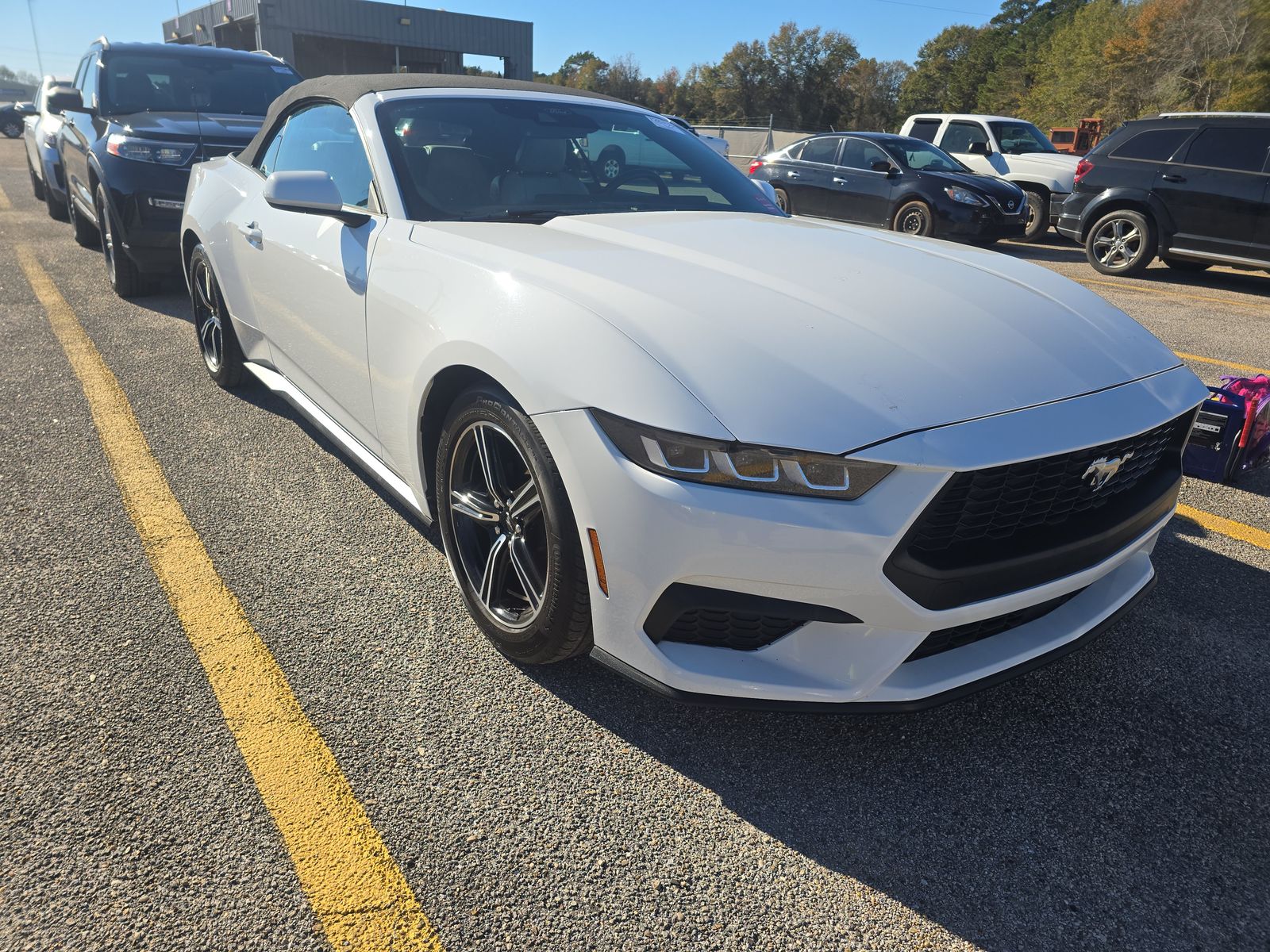 2024 Ford Mustang EcoBoost Premium RWD