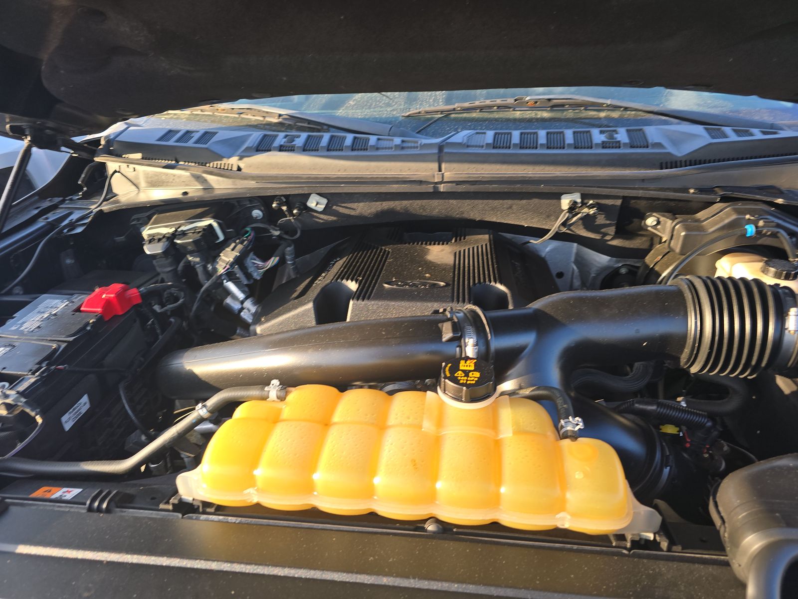 2019 Ford F-150 XLT AWD