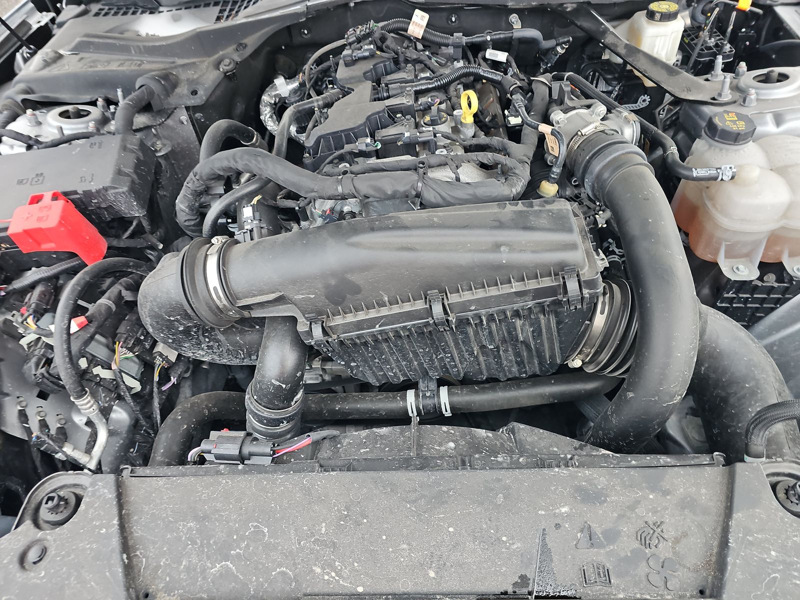 2024 Ford Mustang EcoBoost Premium RWD