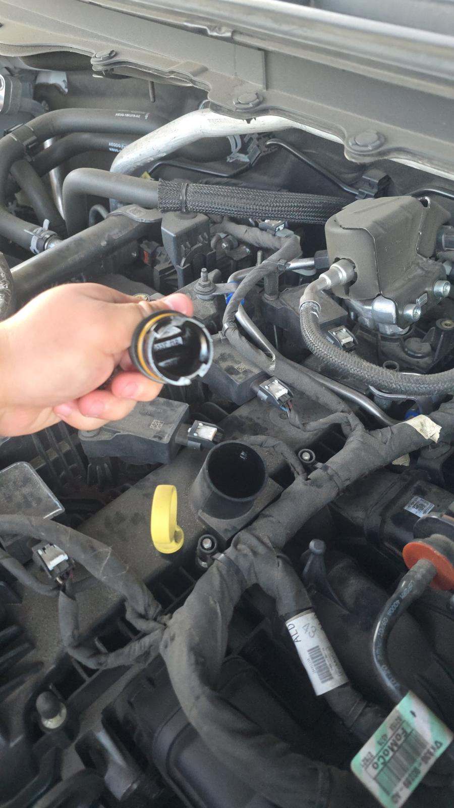 2023 Ford Ranger XLT RWD