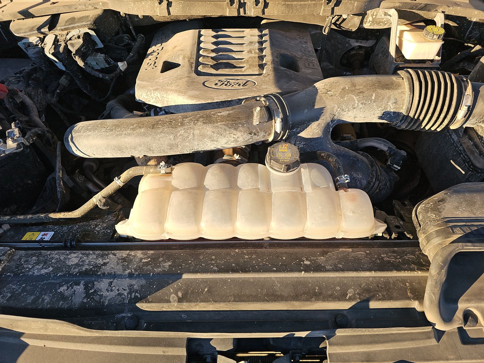 2023 Ford F-150 XLT RWD