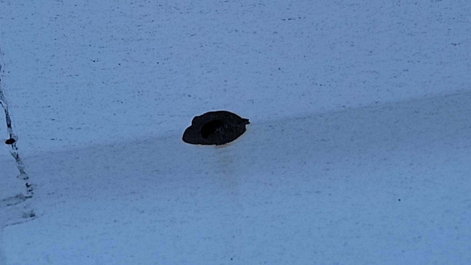 2024 Toyota Tundra Limited AWD