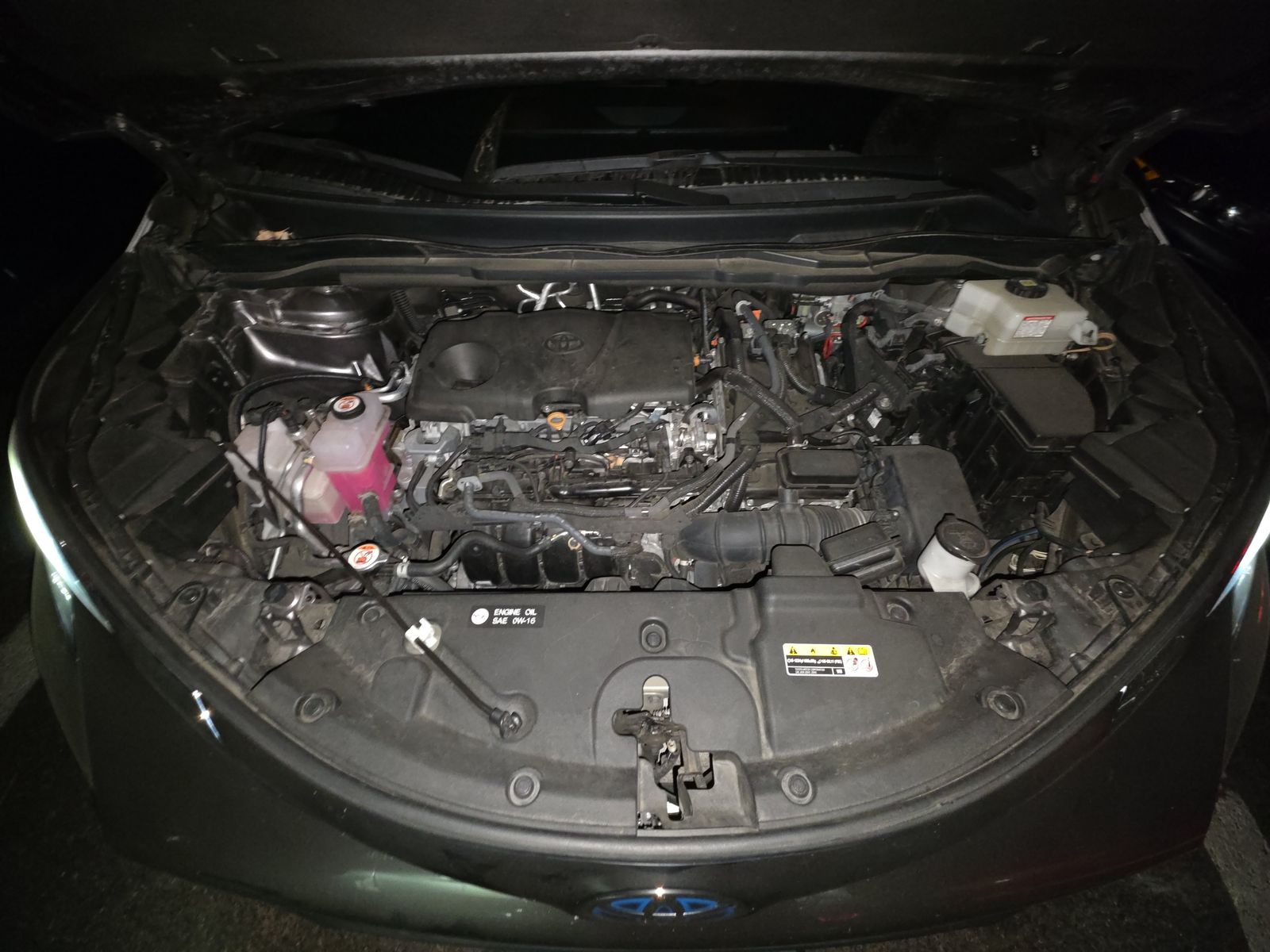 2024 Toyota Sienna XLE FWD