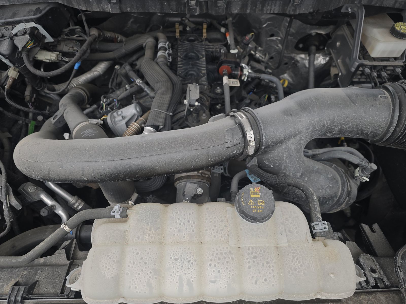 2024 Ford F-150 XLT AWD