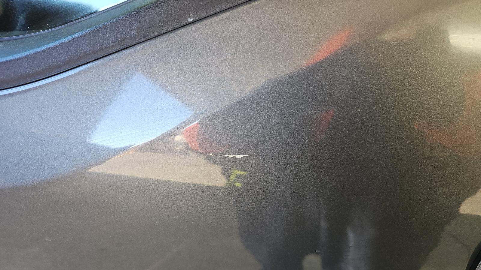 2023 Ford F-150 XLT RWD