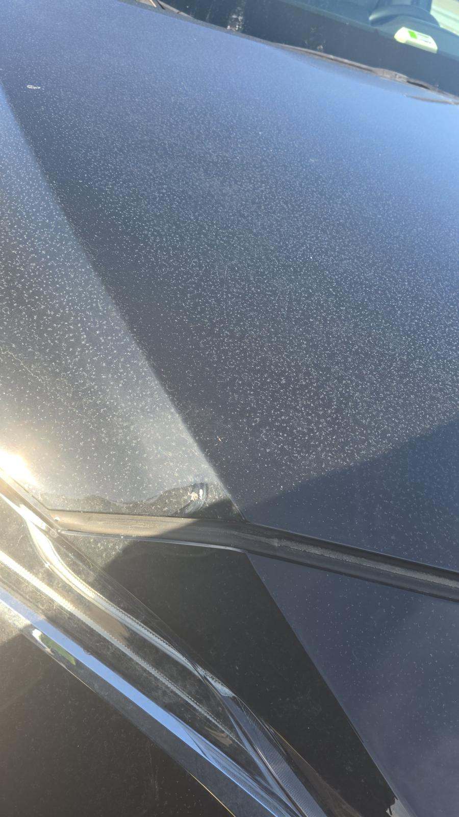 2024 Toyota Venza LE AWD