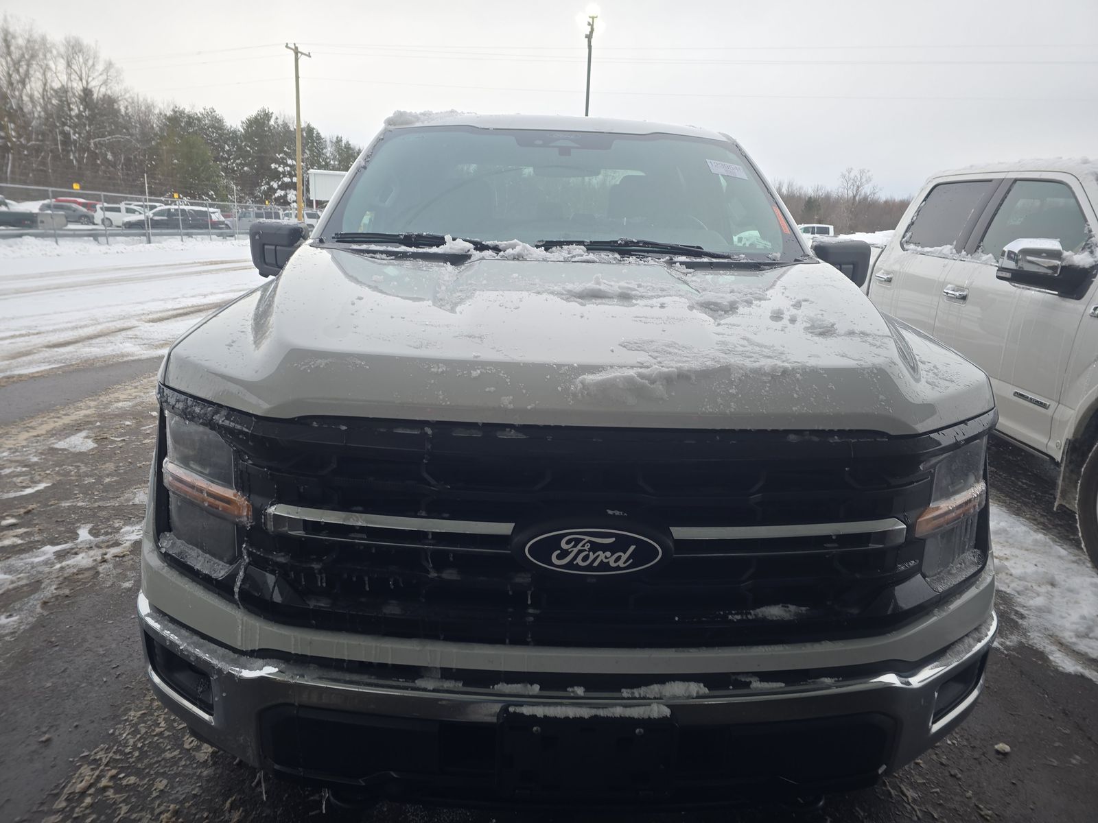 2024 Ford F-150 XLT AWD