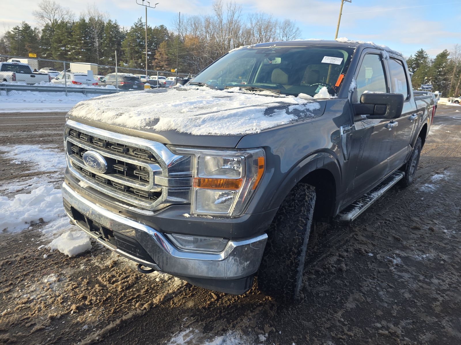 2023 Ford F-150 XLT AWD