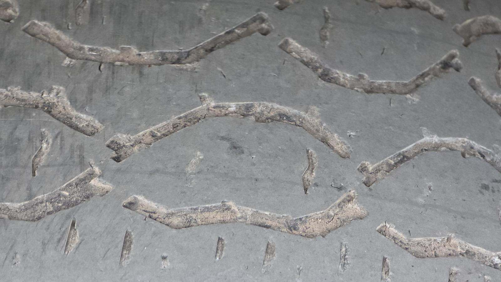 2025 Ford F-150 XLT AWD