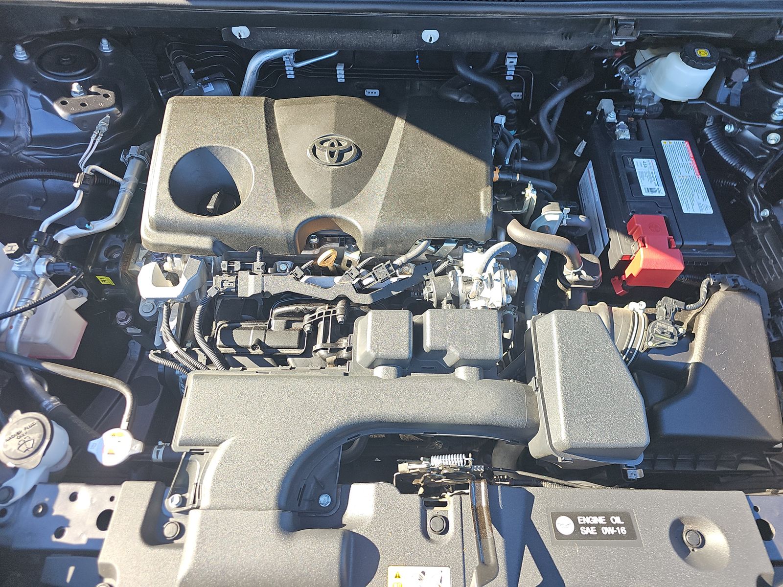 2024 Toyota RAV4 LE AWD