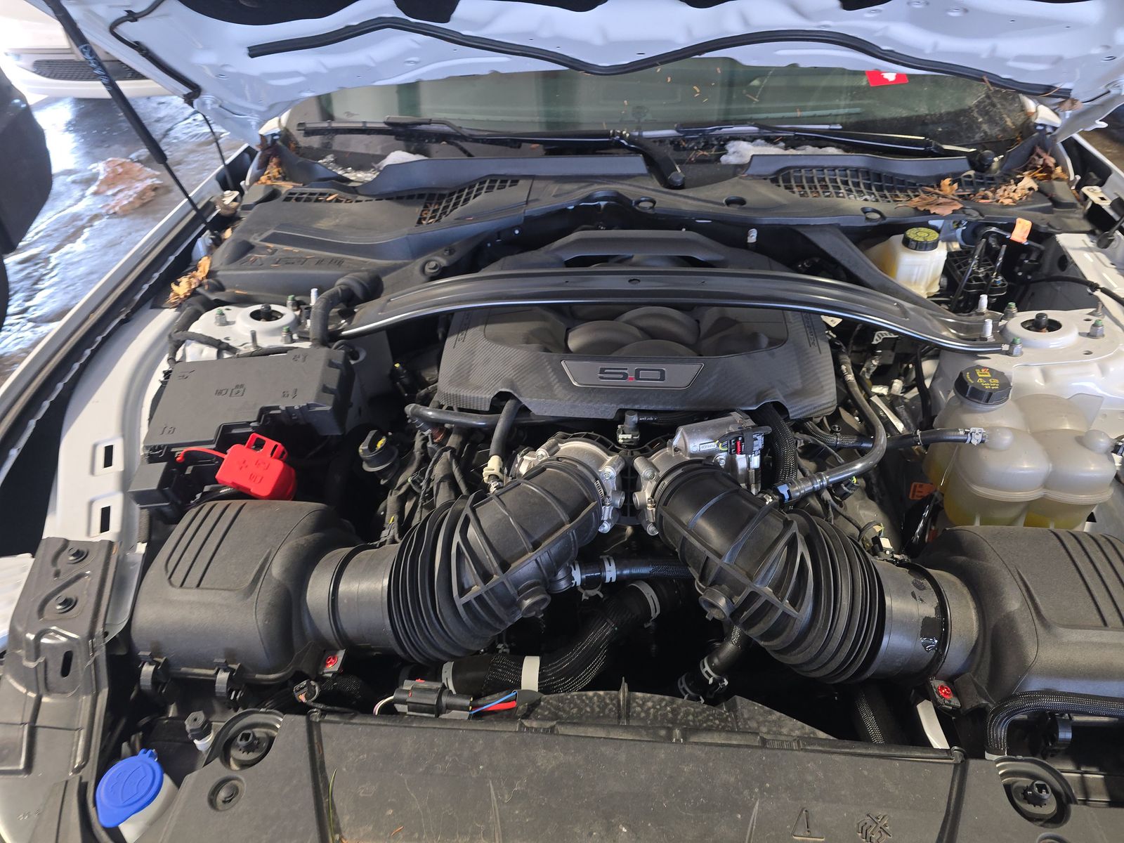 2024 Ford Mustang GT Premium FWD