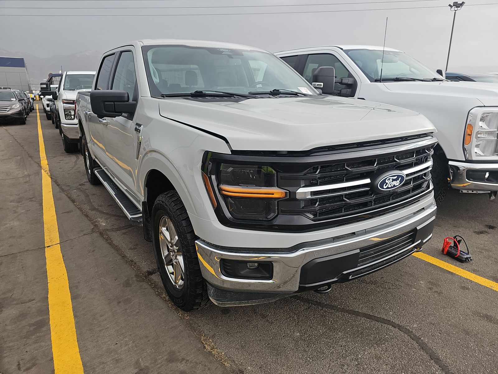 2024 Ford F-150 XLT AWD